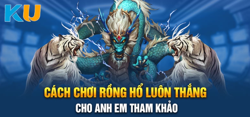 rồng hổ kubet