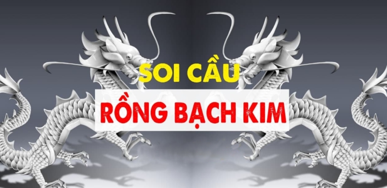 Soi cầu Rồng bạch kim là gì?