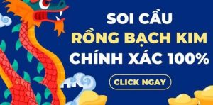 soi cầu rồng bạch kim